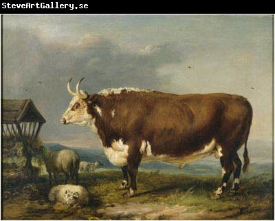 James Ward Hereford Bull with Sheep by a Haystack